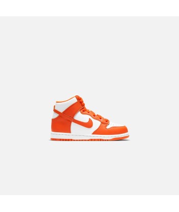 Nike PS Dunk High - White / Orange Blaze une grave pollution 