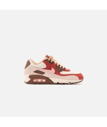 Nike Air Max 90 - Sail / Sheen / Straw / Medium Brown Véritable concentré