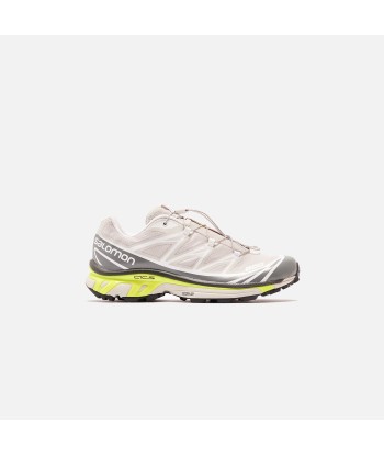 Salomon XT-6 Advanced - Lunar Rock / Quiet Shade / Safety Yellow le des métaux précieux