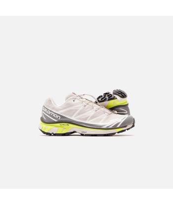 Salomon XT-6 Advanced - Lunar Rock / Quiet Shade / Safety Yellow le des métaux précieux