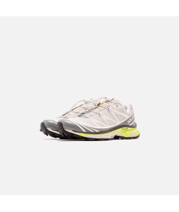 Salomon XT-6 Advanced - Lunar Rock / Quiet Shade / Safety Yellow le des métaux précieux