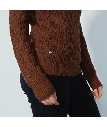 Daily Sports: Women's Ermont Pullover - Chestnut Brown de l' environnement